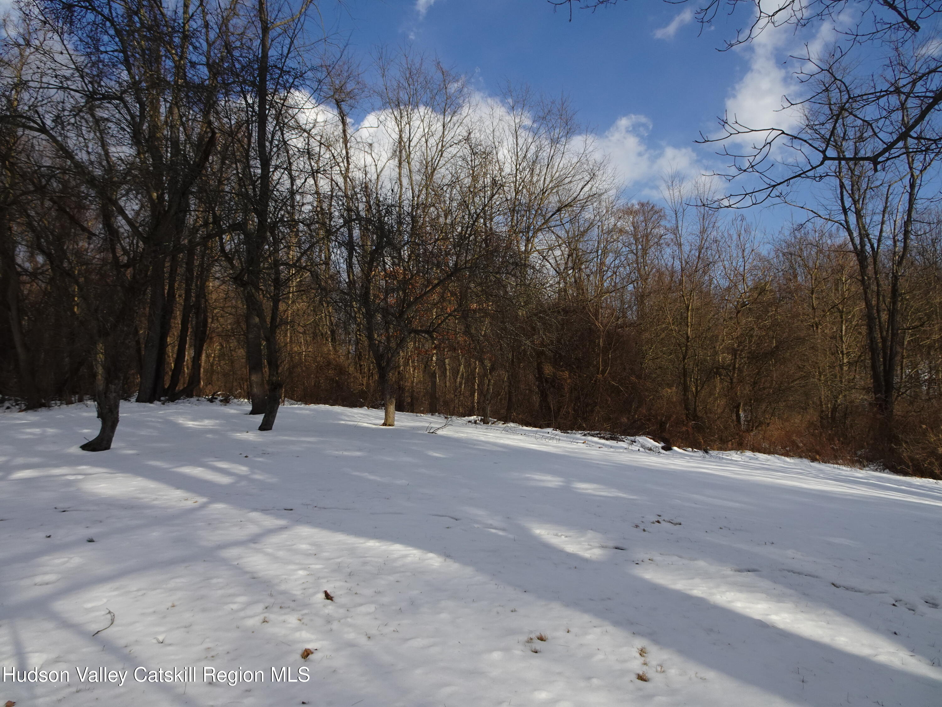 963 Co Rte 19 Elizaville, NY 12523 - Photo 33 of 33 DSC03854