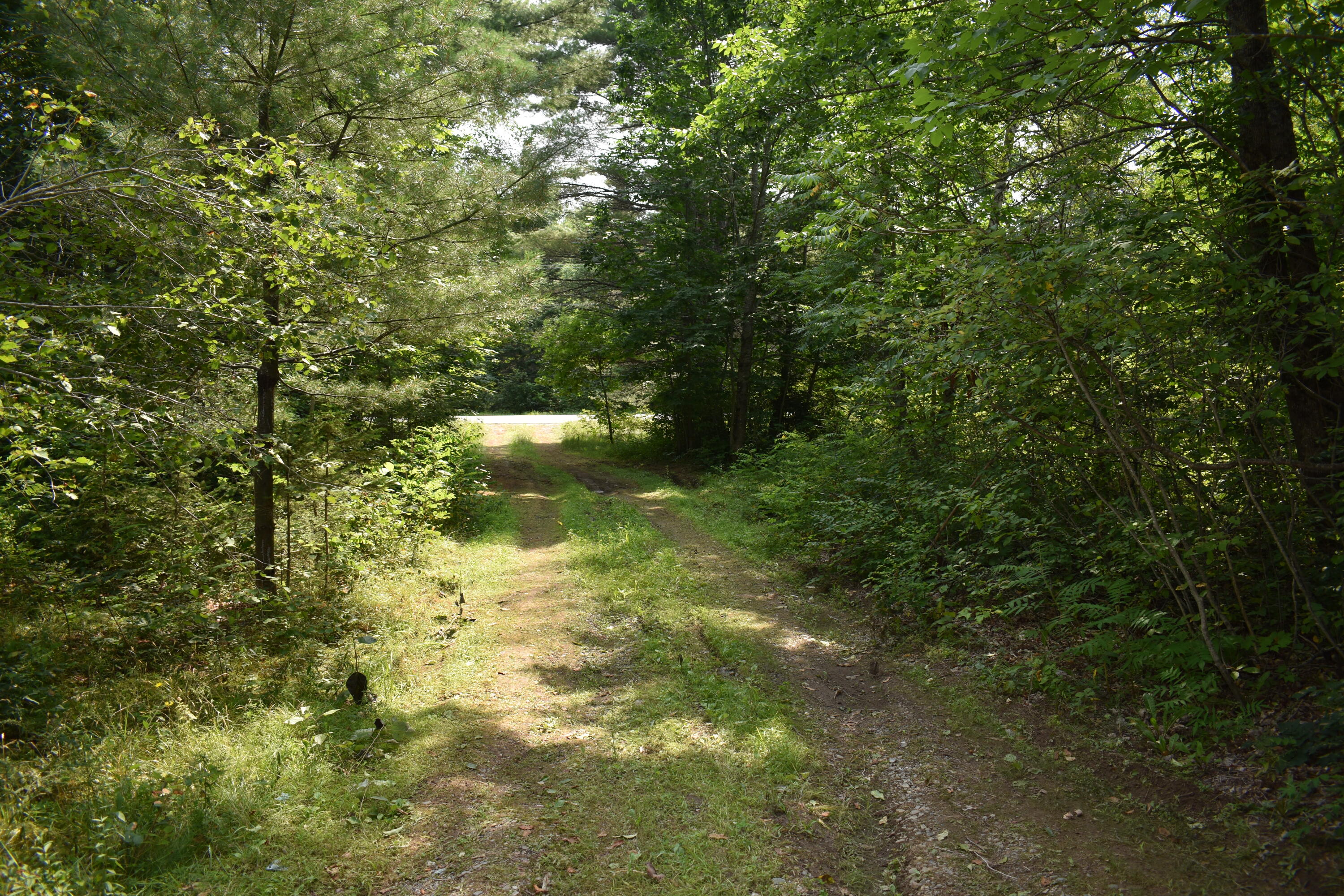 164 Lowell Road Enfield, ME 04493 - Photo 7 of 13 DSC_0066