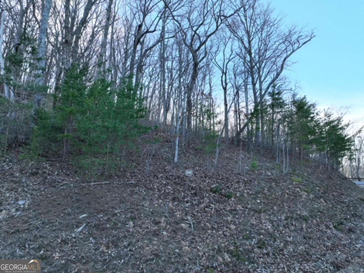 249 Andes Ridge Talking Rock, GA 30175 - Photo 2 of 20