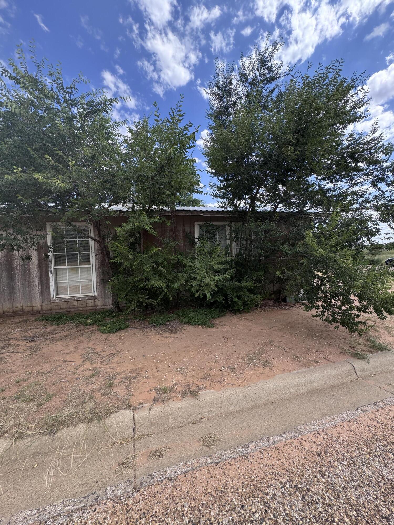 1401 South Canyon Avenue Lamesa, TX 79331 - Photo 6 of 32 a view of backyard with green space