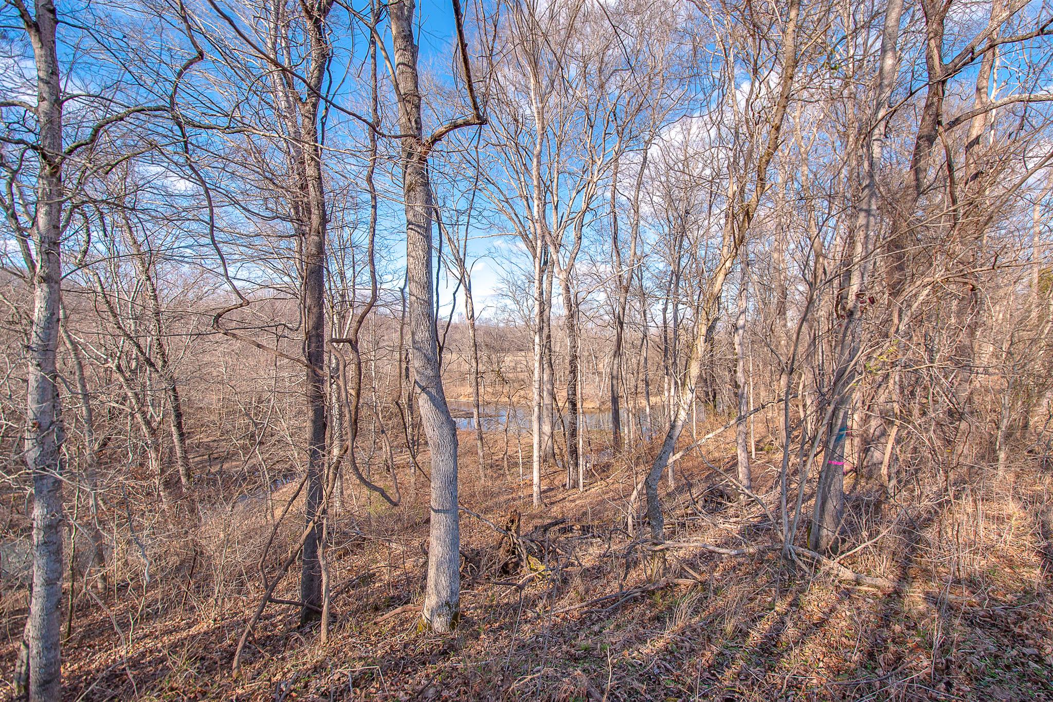 0 Perry Bend Road Duck River, TN 38454 - Photo 24 of 28 Gallery Image 24