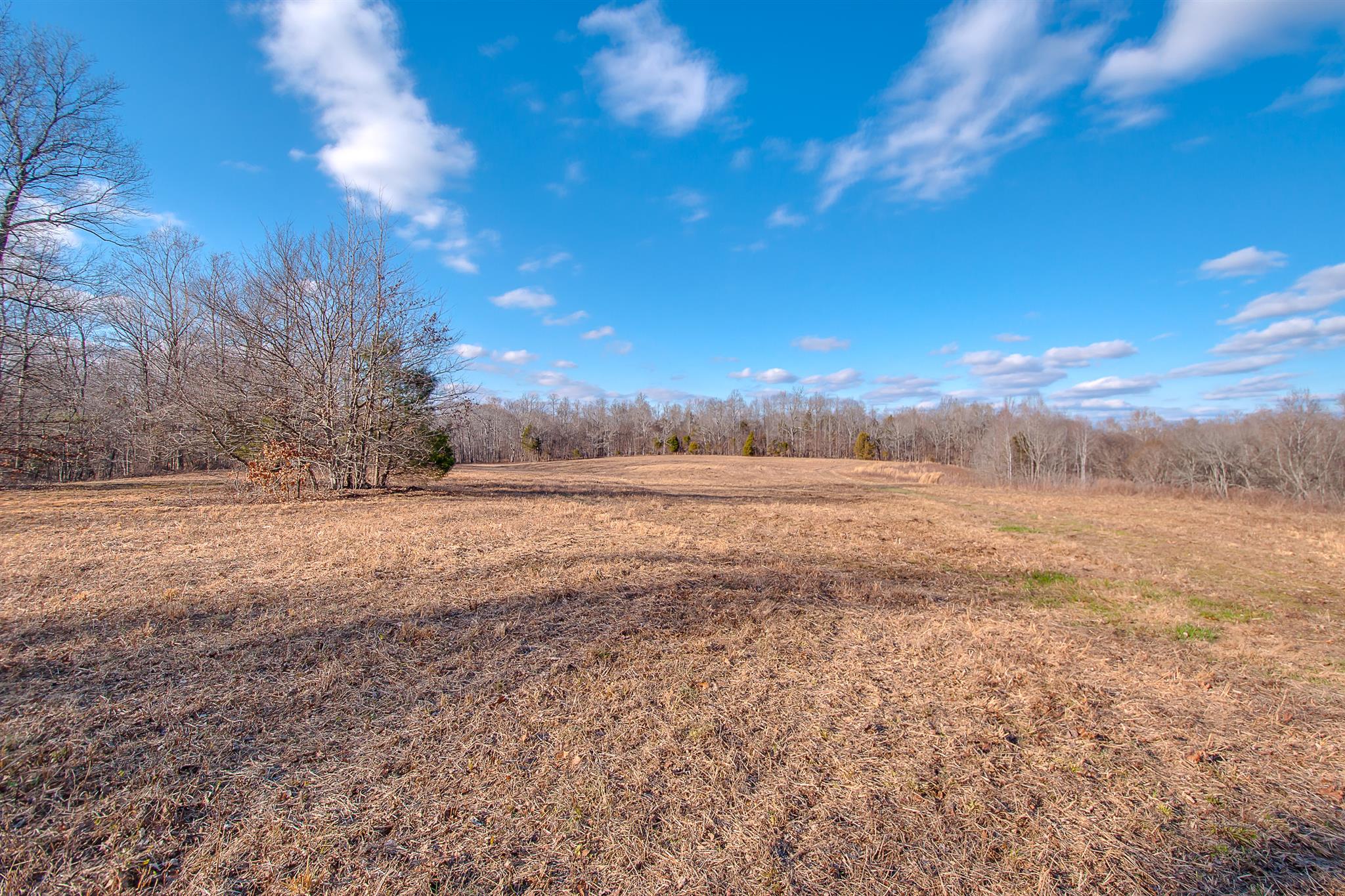 0 Perry Bend Road Duck River, TN 38454 - Photo 26 of 28 Gallery Image 26