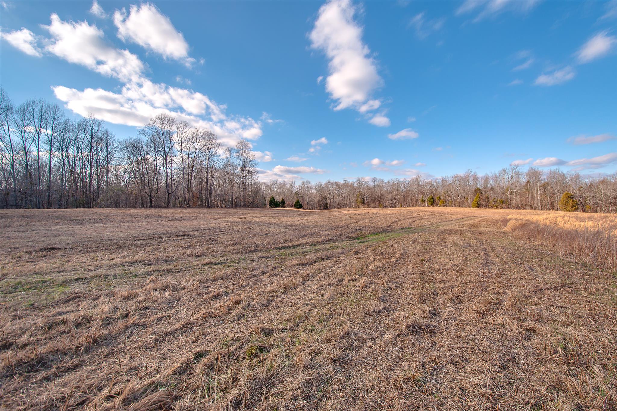 0 Perry Bend Road Duck River, TN 38454 - Photo 27 of 28 Gallery Image 27