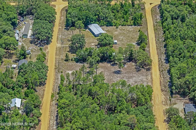 an aerial view of a yard with plants and large trees