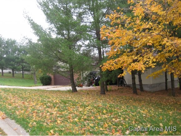 6348 Country Trail Rochester, IL 62563 - Photo 2 of 21