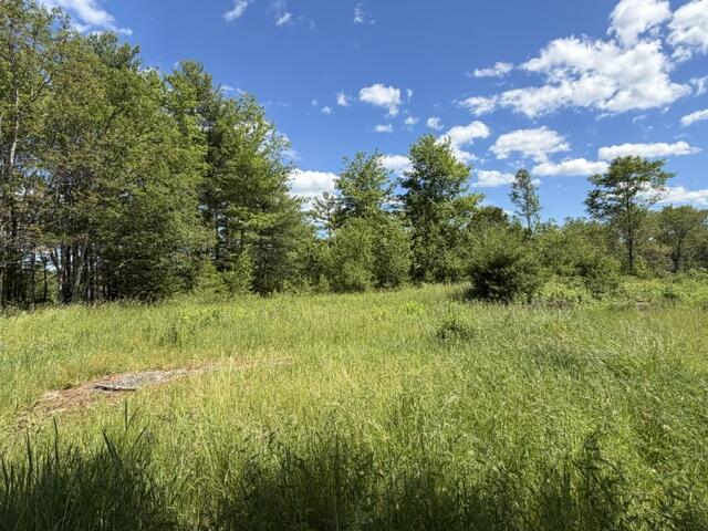 306 Cross Point Road, Unit AREAR LOT Edgecomb, ME 04556 - Photo 16 of 19 IMG_5103