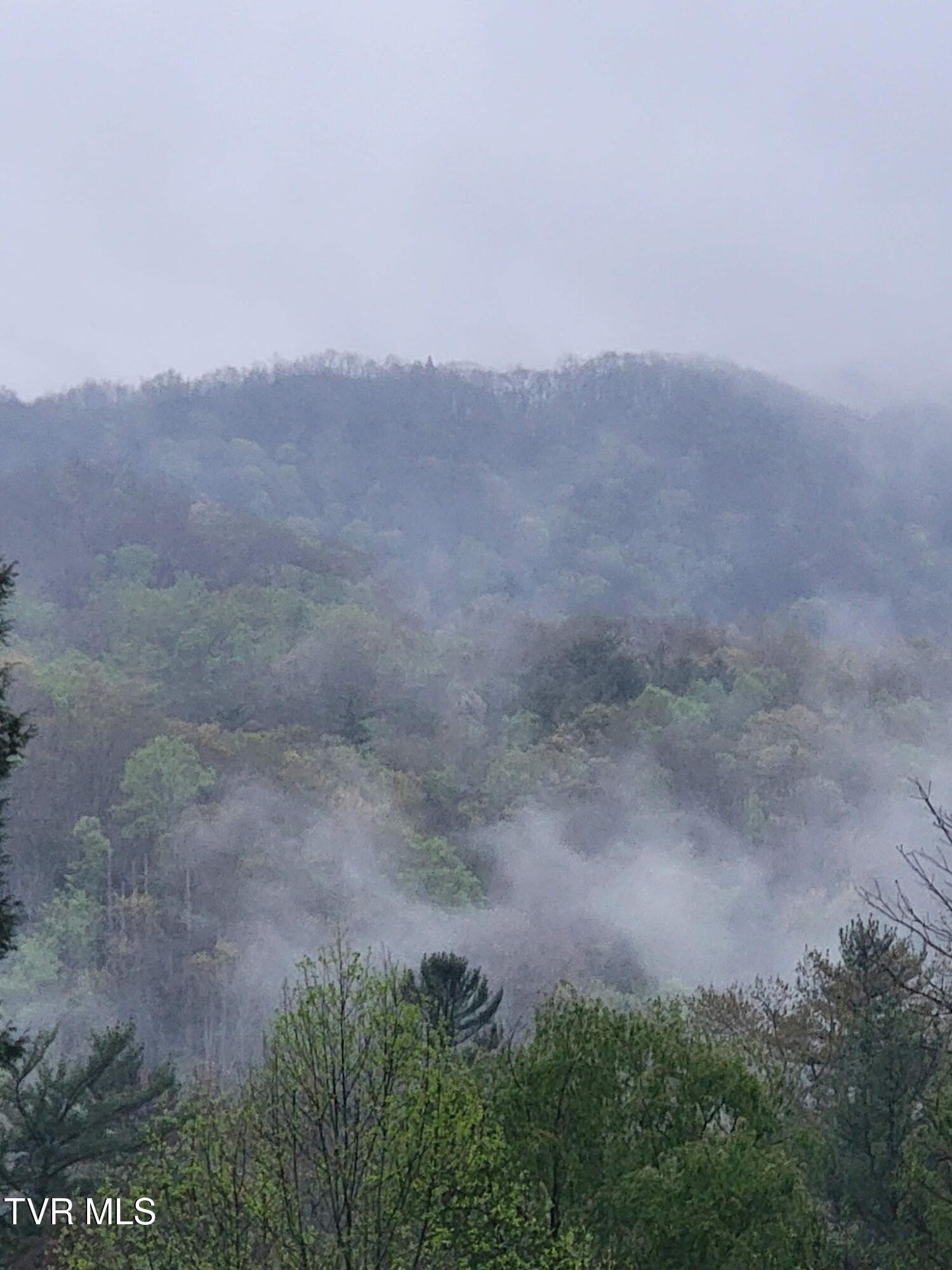 155 Tower Road Roan Mountain, TN 37687 - Photo 26 of 35 80E244CB-C5D6-49E0-9AE4-45591D969121