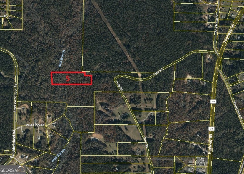 Lot 5 Todd Road Senoia, GA 30276 - Photo 2 of 3