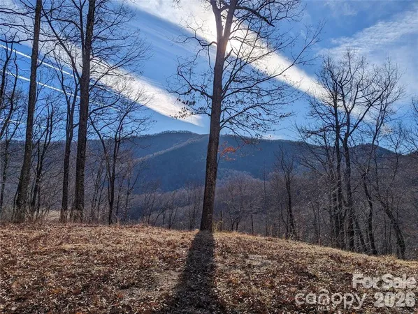 $44,000 | 367 Kestrel Lane, Unit T85, Black Mountain, NC 28711