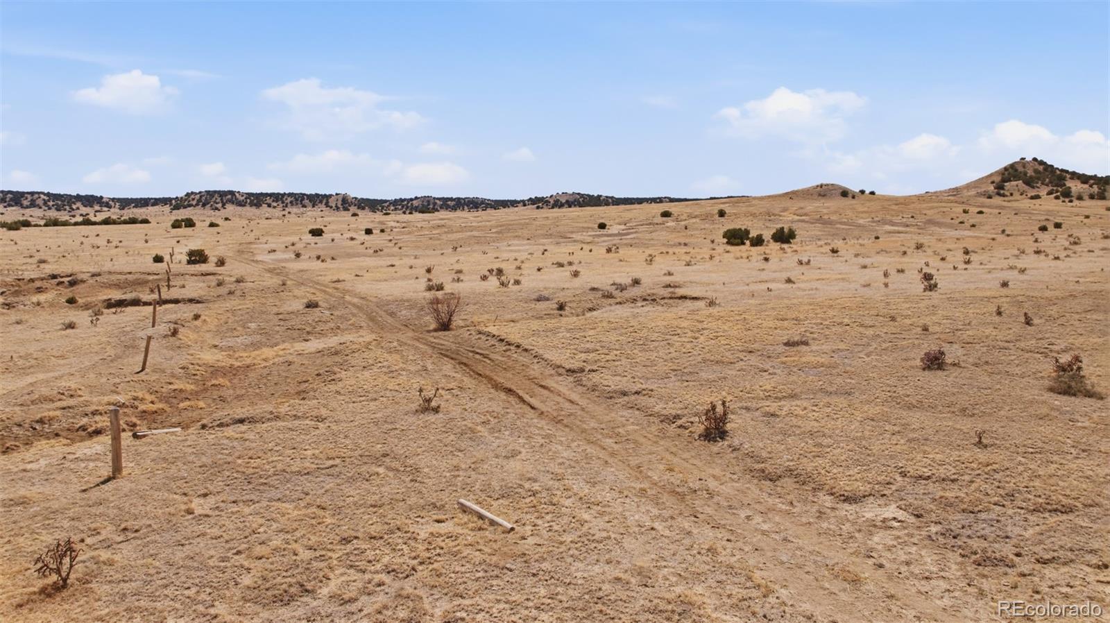 0 Longhorn Trail Model, CO 81059 - Photo 4 of 10