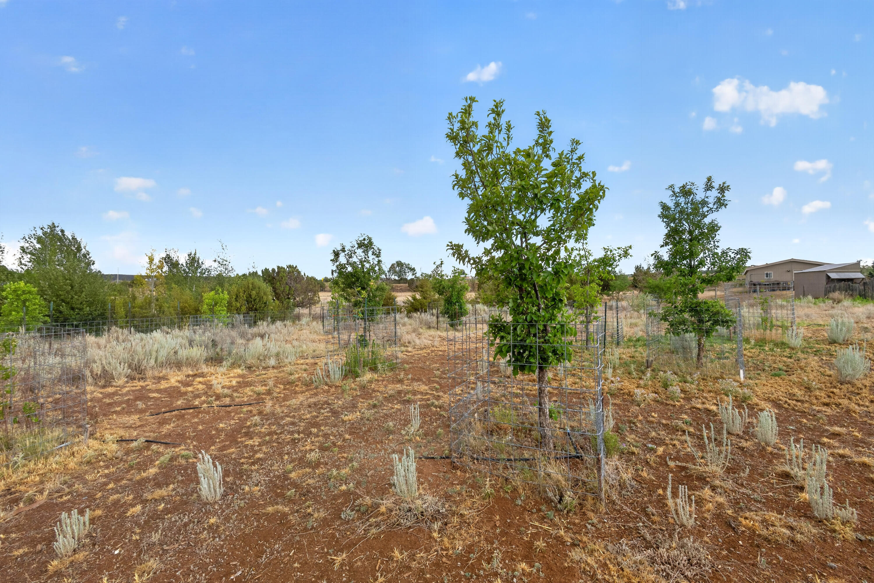 6 County Line Road Edgewood, NM 87015 - Photo 35 of 40 Gallery Image 35