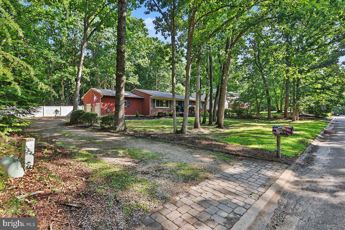 3 Blueberry Road Shamong, NJ 08088 - Photo 38 of 46