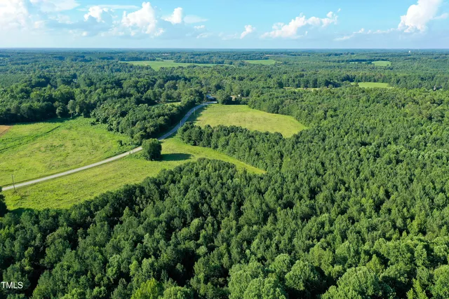 a view of a green yard with large trees