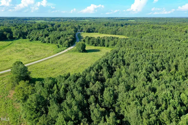 a view of a field with an ocean
