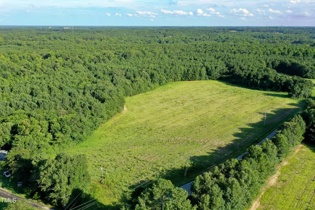 a view of a green field with lots of bushes