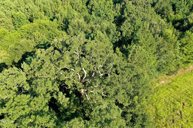 a view of an outdoor space and a yard