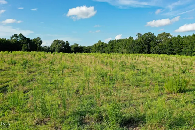 a view of a garden with a lake