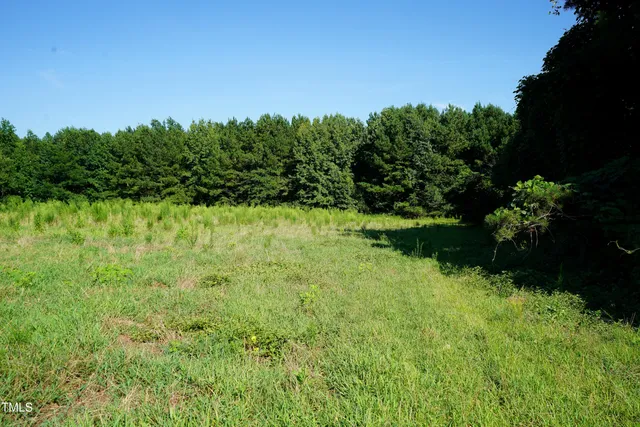 a view of outdoor space and trees