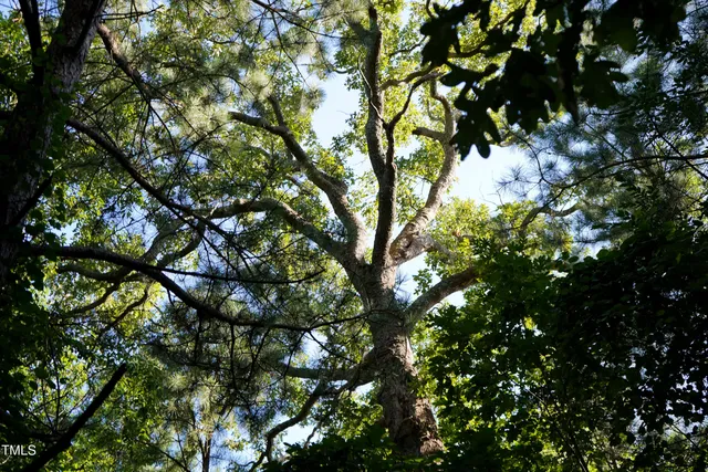 a view of a field with an ocean