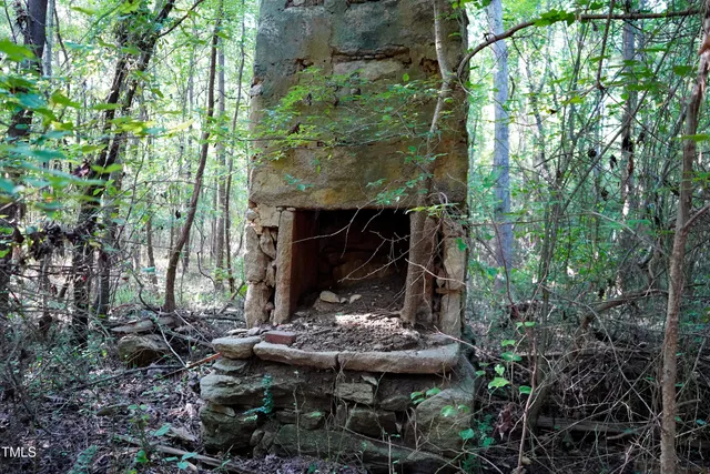 a view of yard with green space