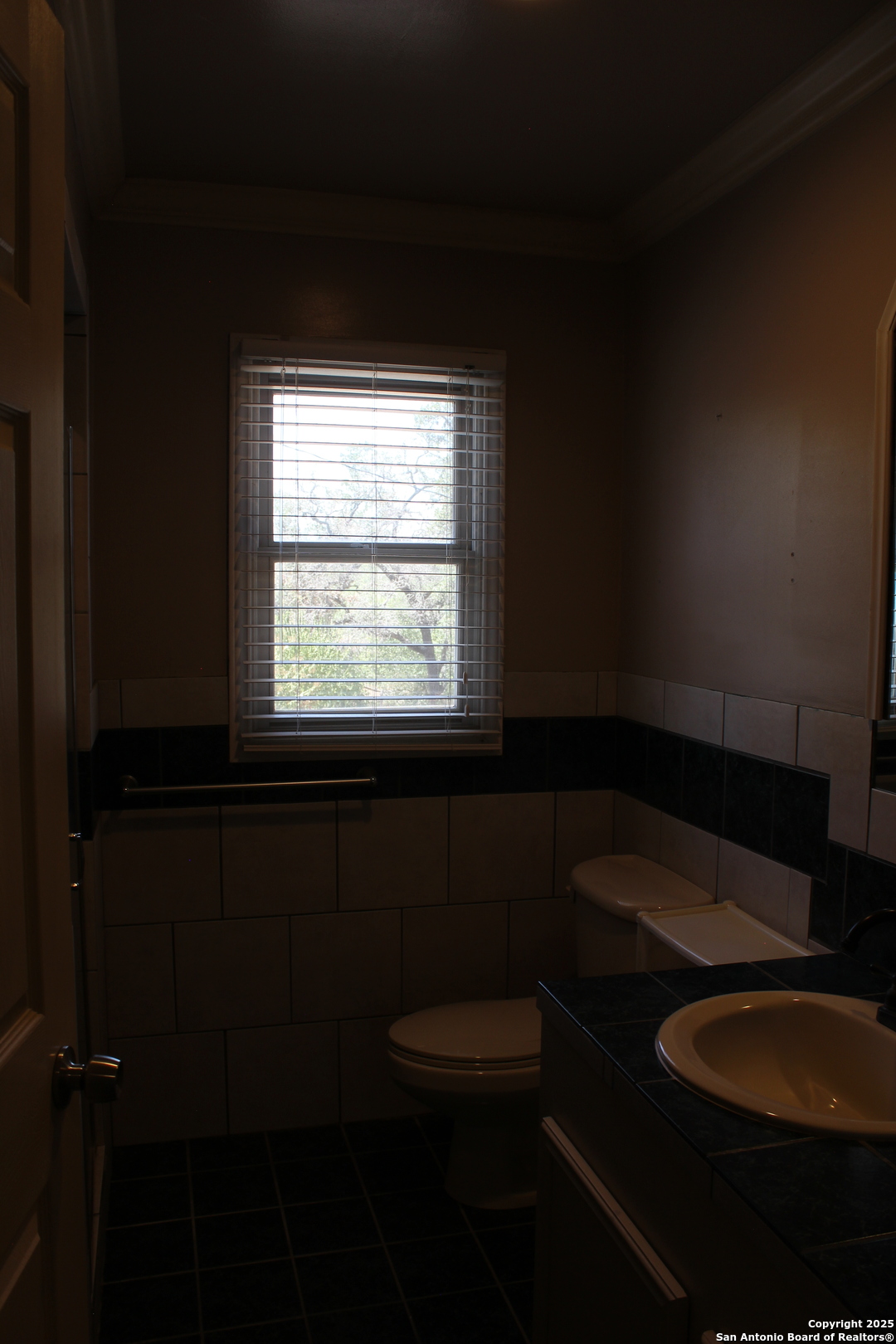 24590 Trumbo Road San Antonio, TX 78264 - Photo 24 of 34 a bathroom with a toilet a sink a window and cabinets
