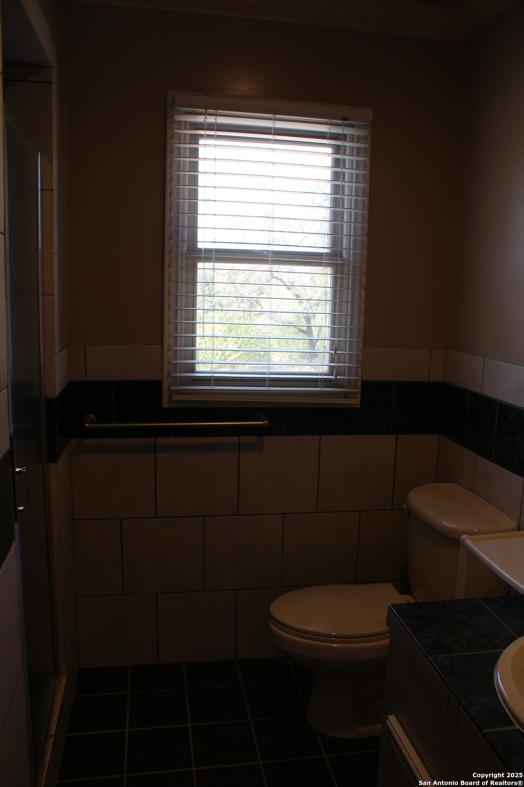 24590 Trumbo Road San Antonio, TX 78264 - Photo 25 of 34 a bathroom with a toilet a sink and a window