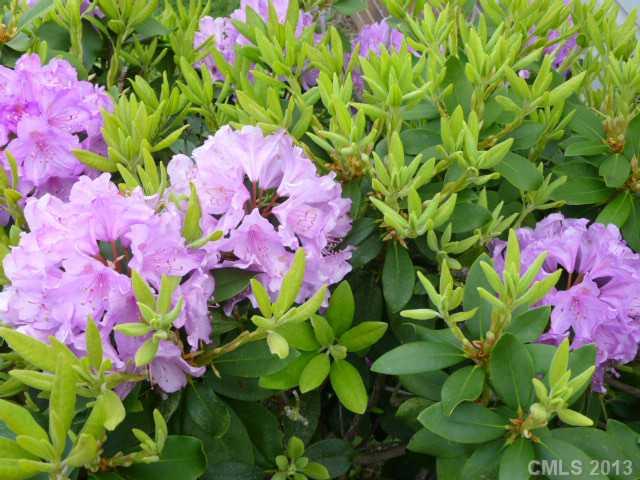 910 Landers Chapel Road Lincolnton, NC 28092 - Photo 4 of 14 Gallery Image 4
