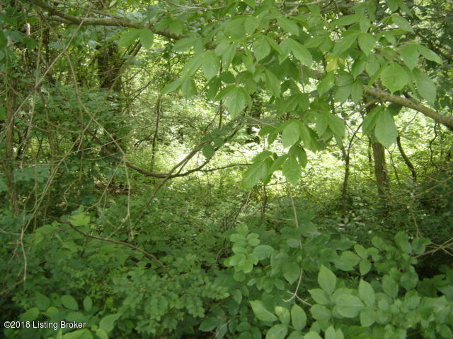 0 Walnut Drive Pendleton, KY 40055 - Photo 5 of 5 DSC00358