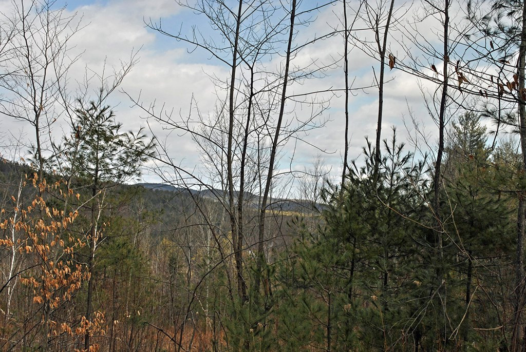 0 Grove Road Au Sable Forks, NY 12912 - Photo 10 of 11 Gallery Image 10