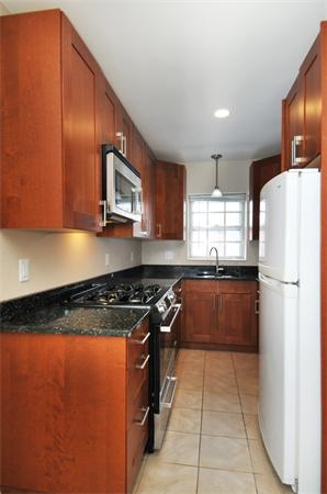 120 Lake Shore Road, Unit 1 Boston, MA 02135 - Photo 9 of 15 a kitchen with stainless steel appliances granite countertop a refrigerator a stove a sink and a microwave