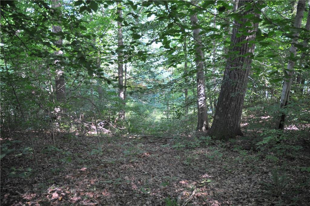 291 West Robertson Road Morgantown, IN 46160 - Photo 14 of 41 Gallery Image 14