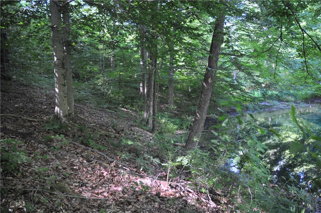 291 West Robertson Road Morgantown, IN 46160 - Photo 16 of 41 Gallery Image 16