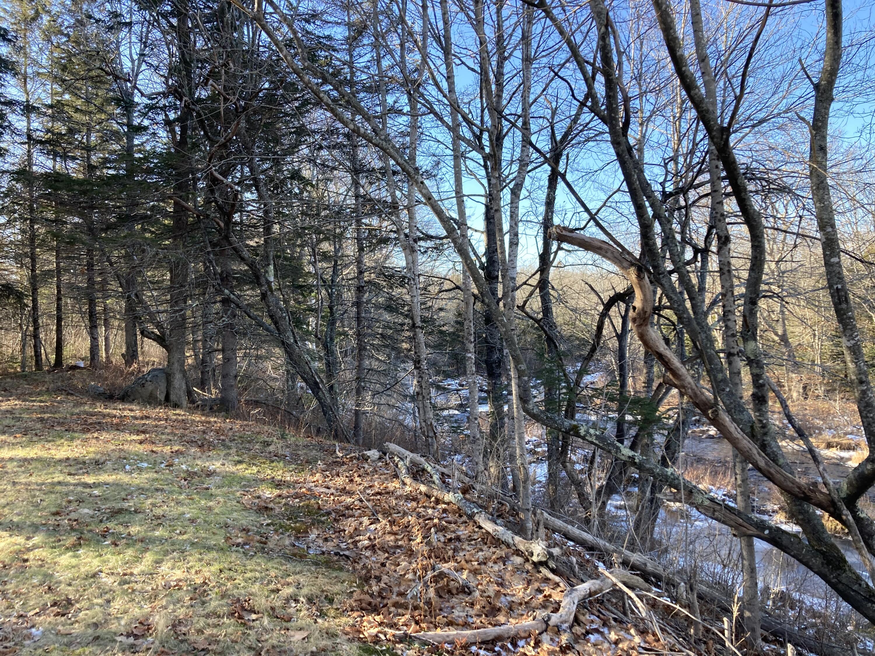 3 Rogers Point Road Steuben, ME 04680 - Photo 27 of 35