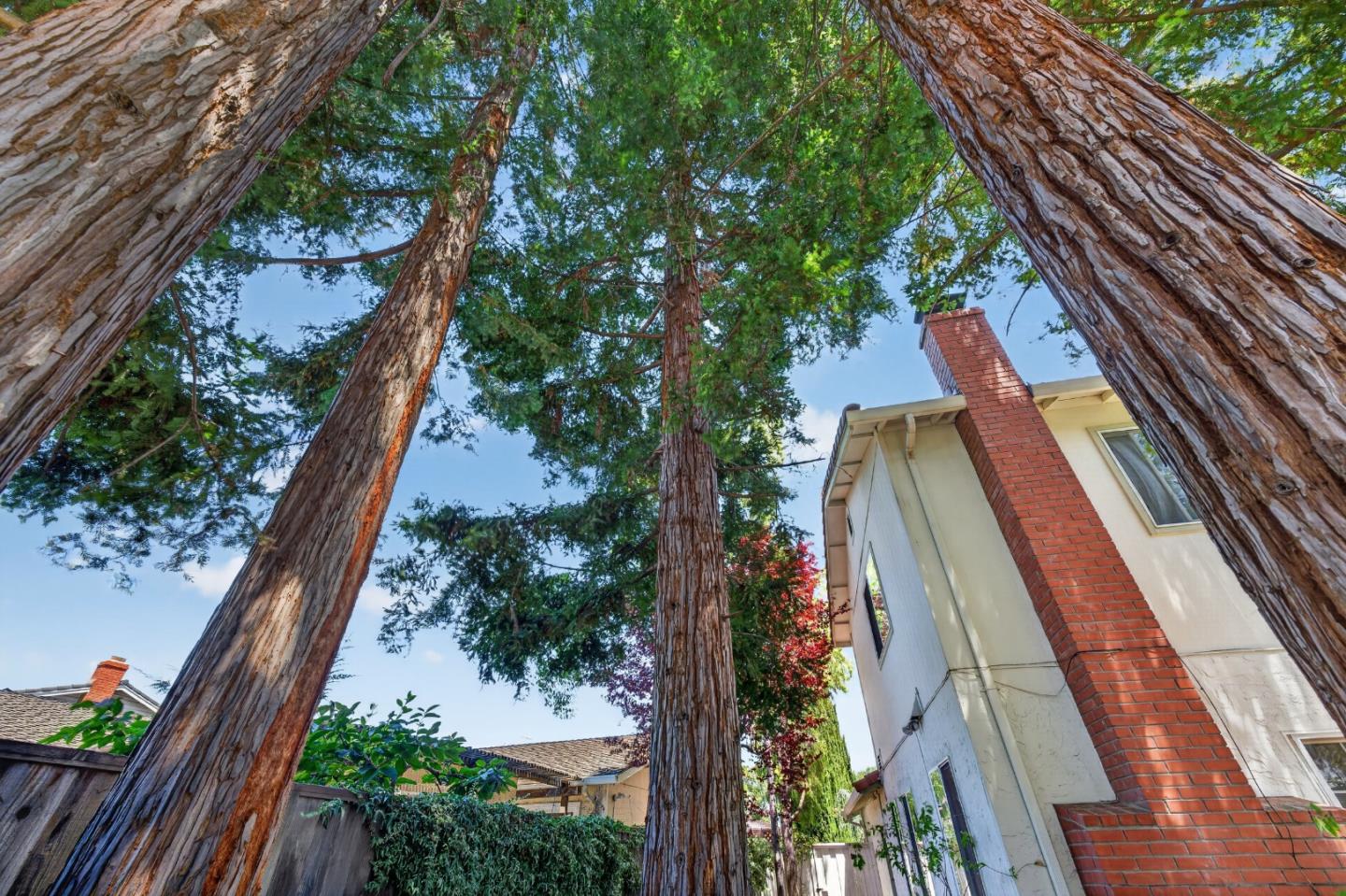 1663 Finch Way Sunnyvale, CA 94087 - Photo 73 of 87