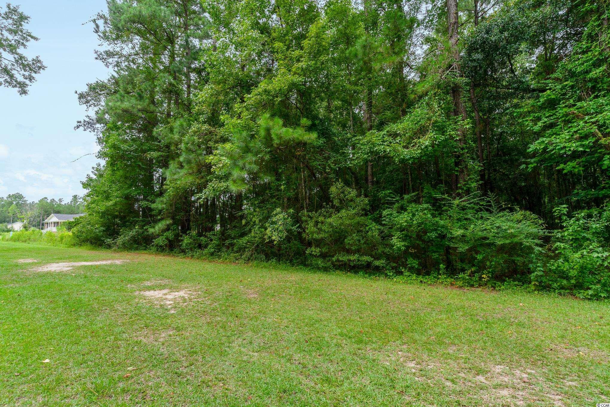 Lot 27 Wee Tee Road Kingstree, SC 29556 - Photo 1 of 7 Gallery Image 1