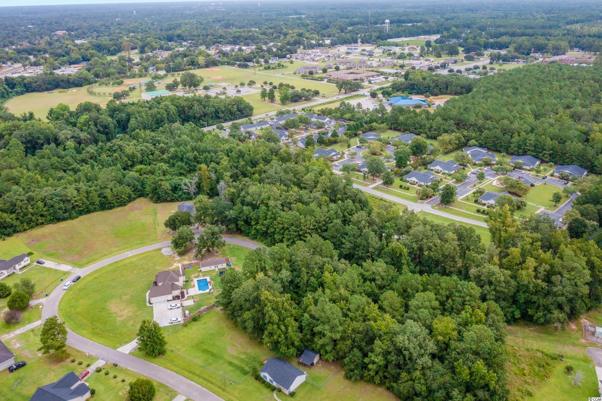 Lot 27 Wee Tee Road Kingstree, SC 29556 - Photo 3 of 7 Gallery Image 3