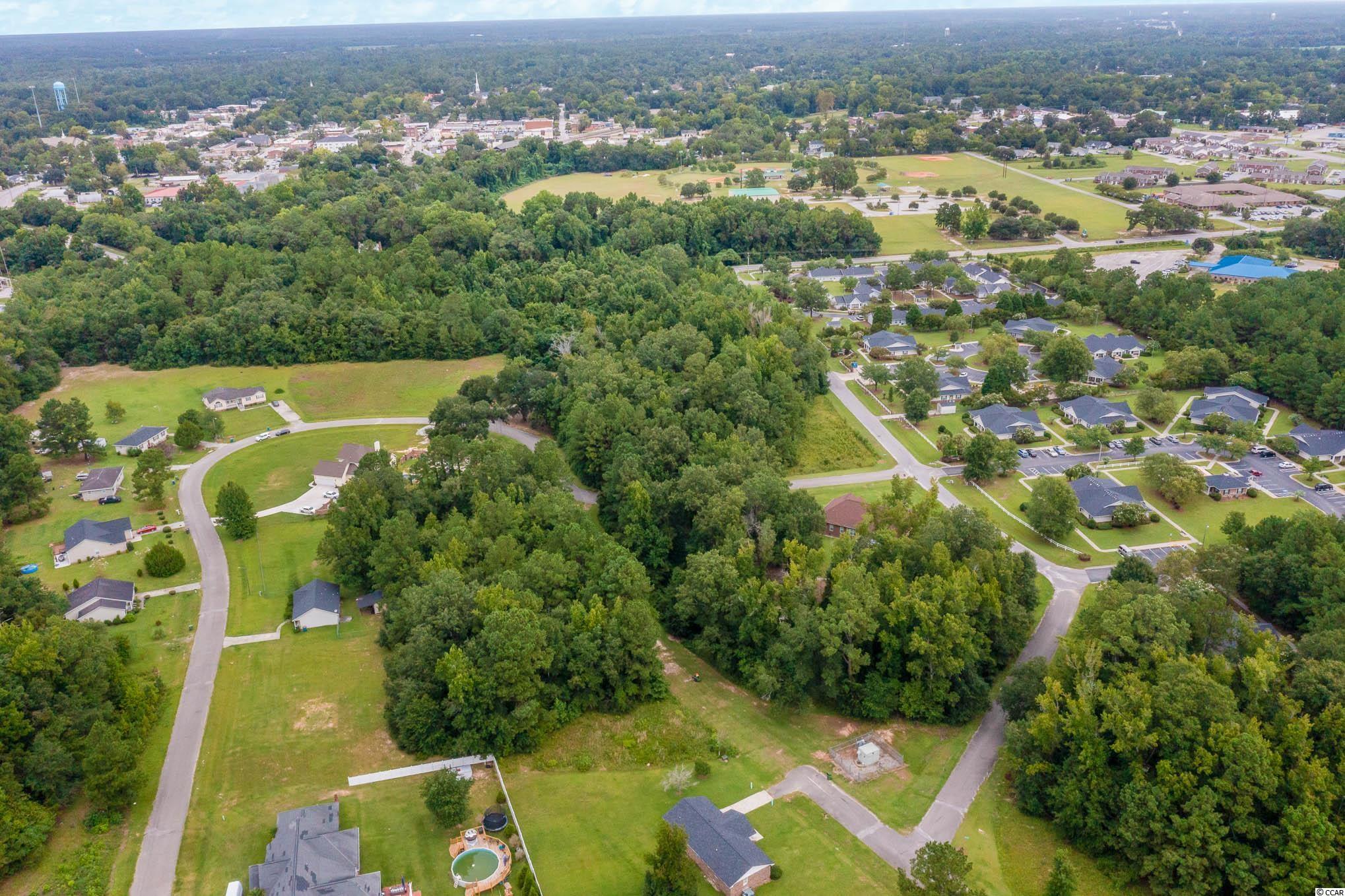Lot 27 Wee Tee Road Kingstree, SC 29556 - Photo 5 of 7 Gallery Image 5
