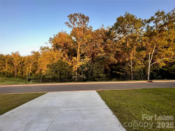 a view of a green field