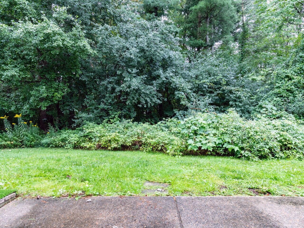 214 Locust Hill Road Shelburne, VT 05482 - Photo 23 of 23 Gallery Image 23