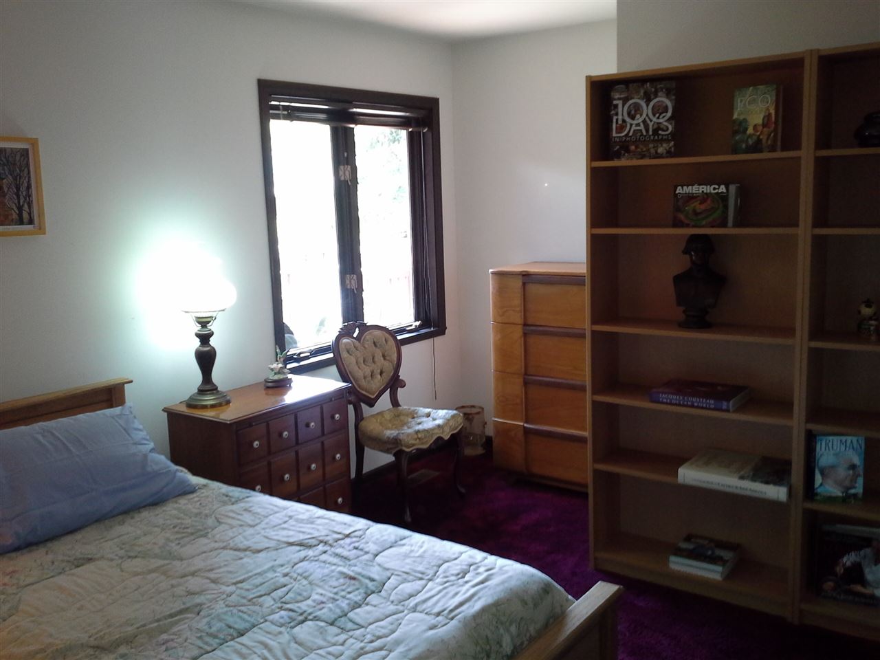 722 Riverside Drive Linden, MI 48451 - Photo 17 of 26 31385694-16.JPG
