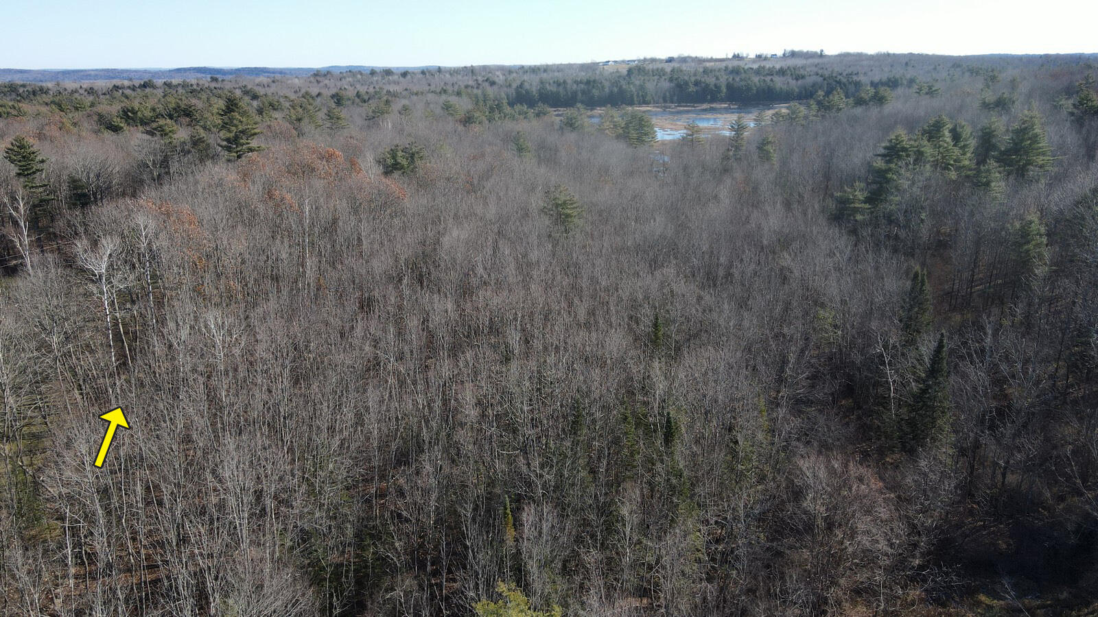 35-1 Warren Road Sabattus, ME 04280 - Photo 9 of 9 AP23053MonmouthME_DJI_0429