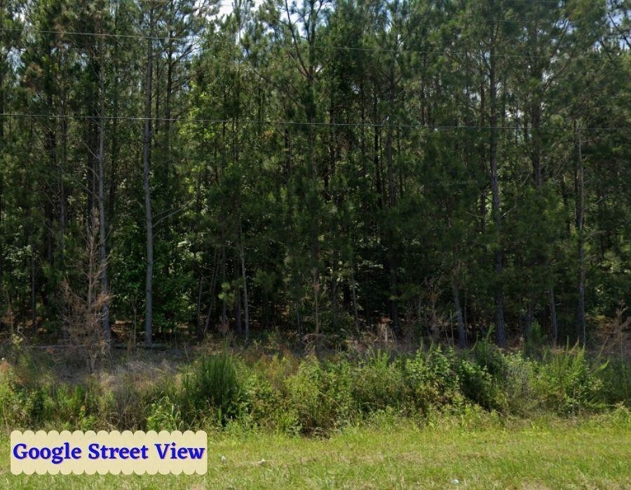 Tbd Walton Road Midway Park, NC 28544 - Photo 13 of 19 a view of outdoor space and yard