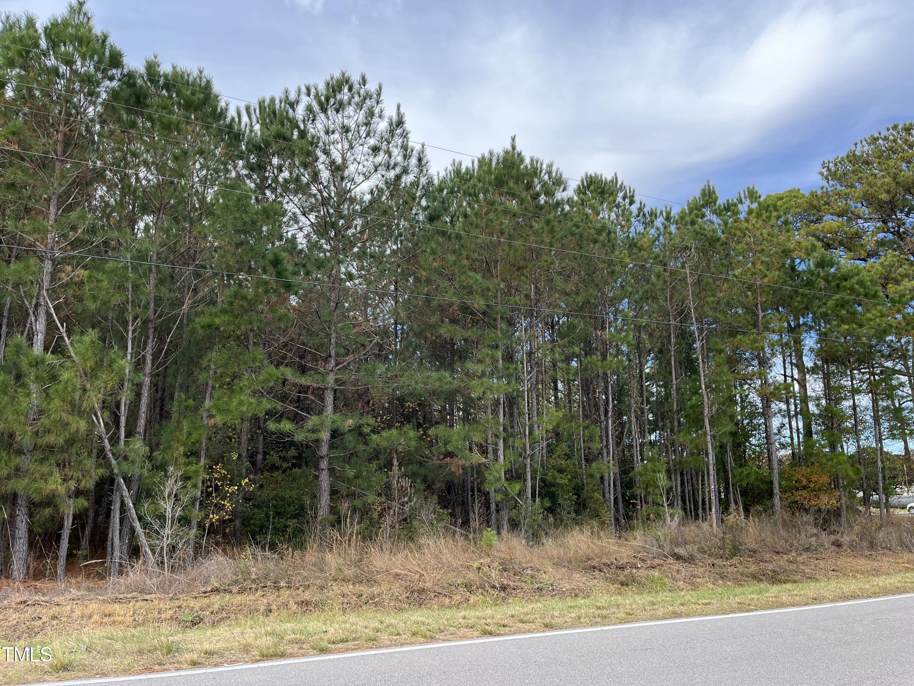 Tbd Walton Road Midway Park, NC 28544 - Photo 17 of 19 a view of a yard with a tree