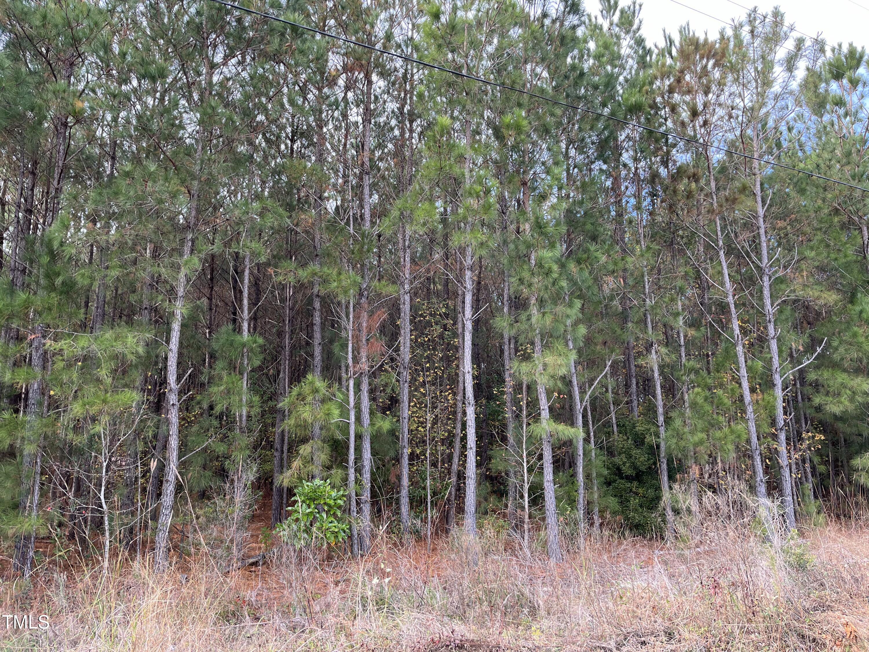 Tbd Walton Road Midway Park, NC 28544 - Photo 18 of 19