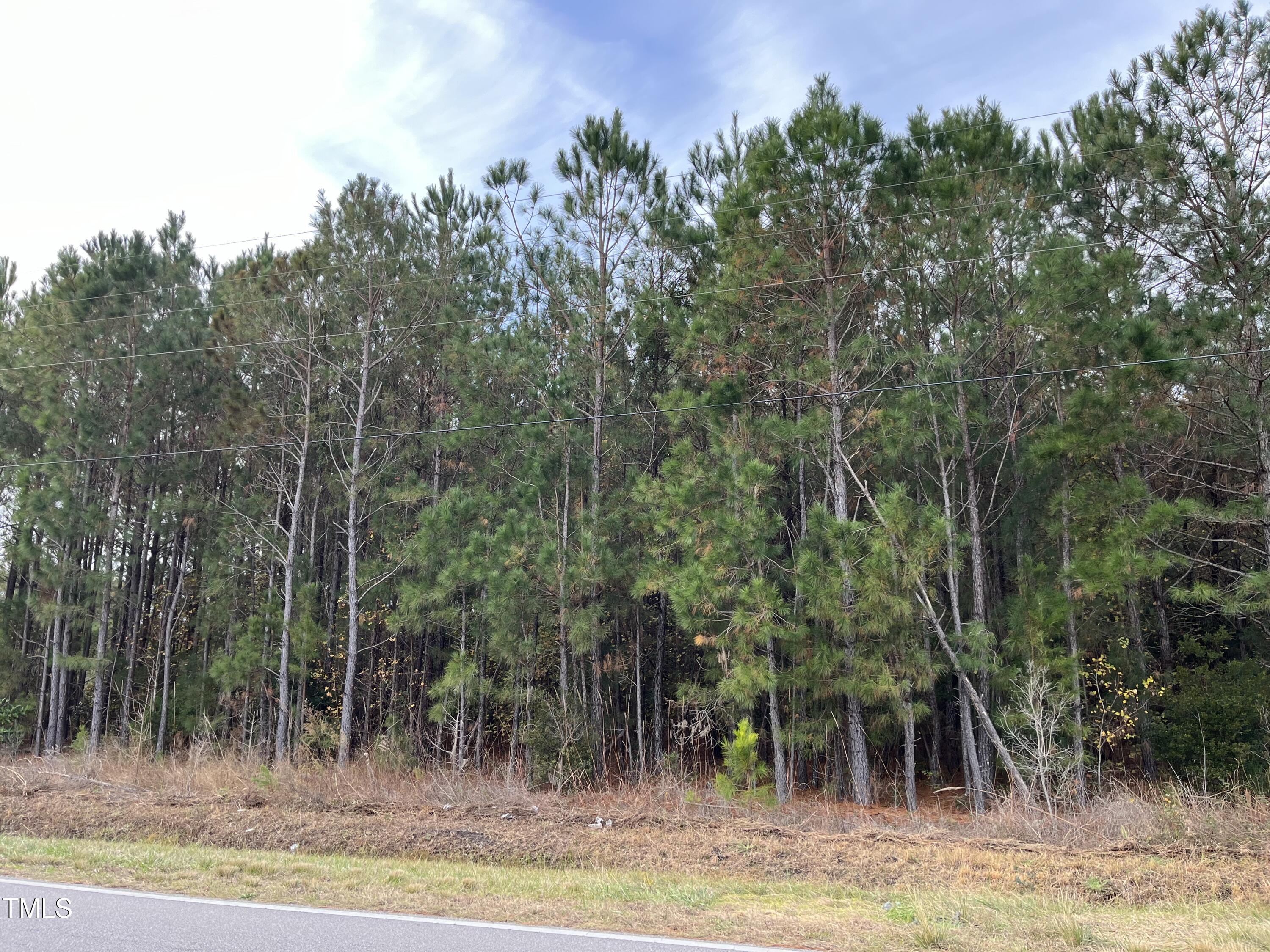 Tbd Walton Road Midway Park, NC 28544 - Photo 19 of 19 a view of a yard with trees