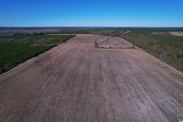 $249,000 | 53.86-acres-tbd Pate Road, Bishopville, SC 29010