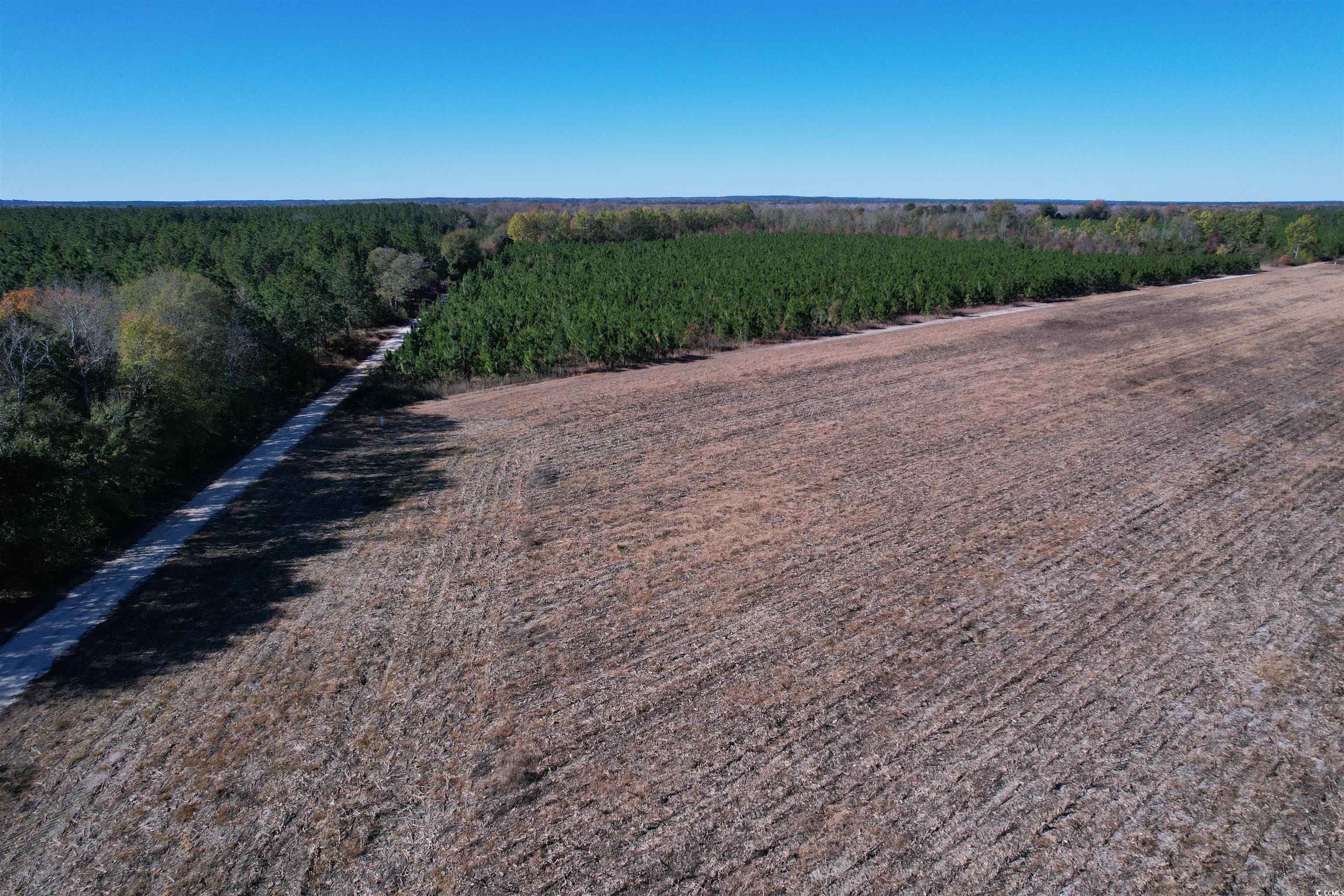 53.86-acres-tbd Pate Road Bishopville, SC 29010 - Photo 12 of 19