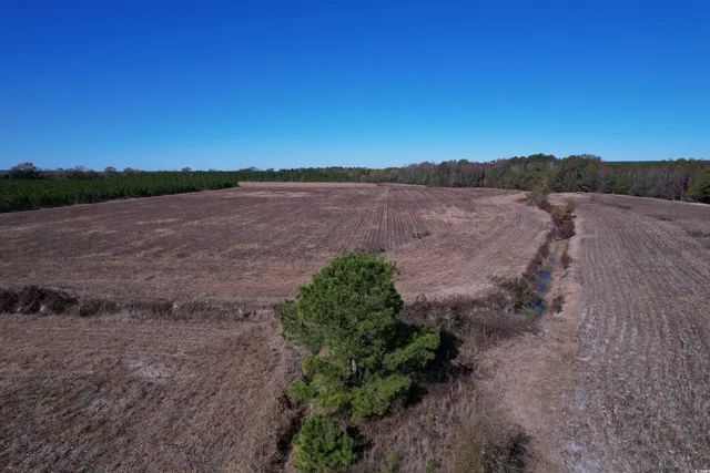 $249,000 | 53.86-acres-tbd Pate Road, Bishopville, SC 29010