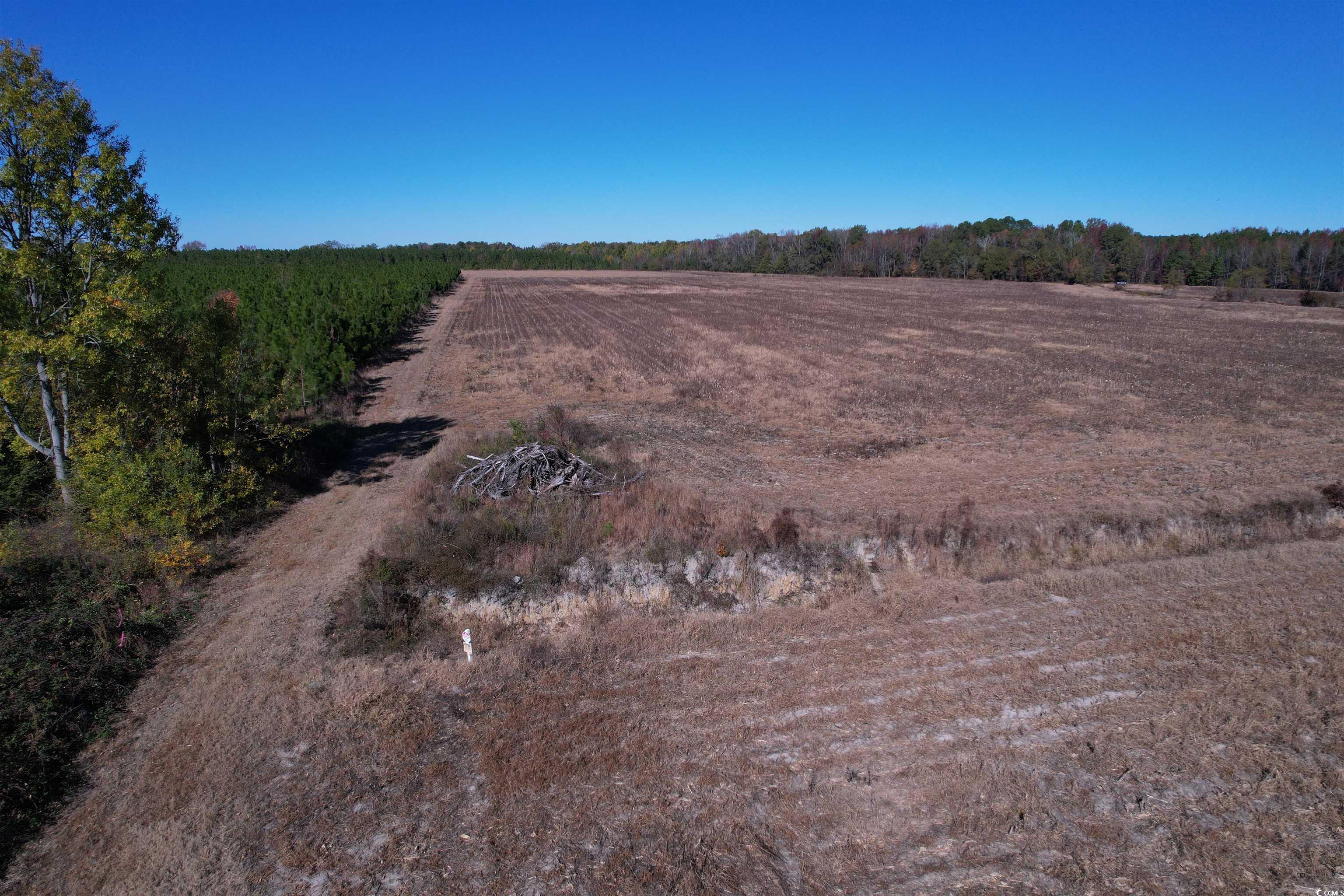 53.86-acres-tbd Pate Road Bishopville, SC 29010 - Photo 14 of 19