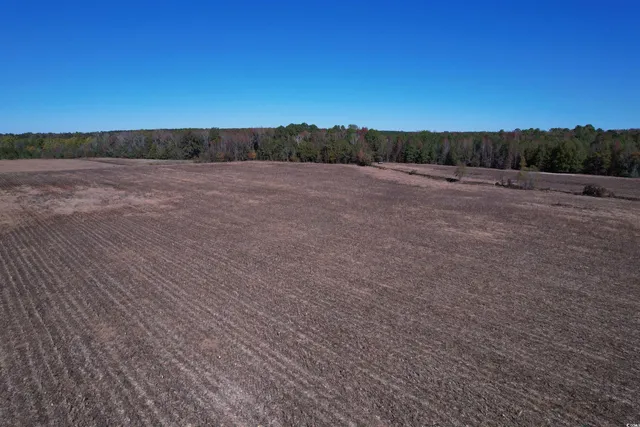 $249,000 | 53.86-acres-tbd Pate Road, Bishopville, SC 29010